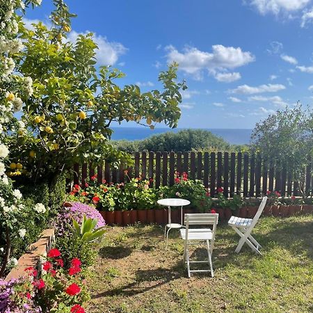 Appartamento Lavigna Marina di Camerota Zewnętrze zdjęcie